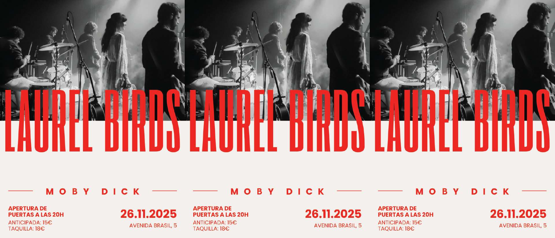 LAUREL BIRDS