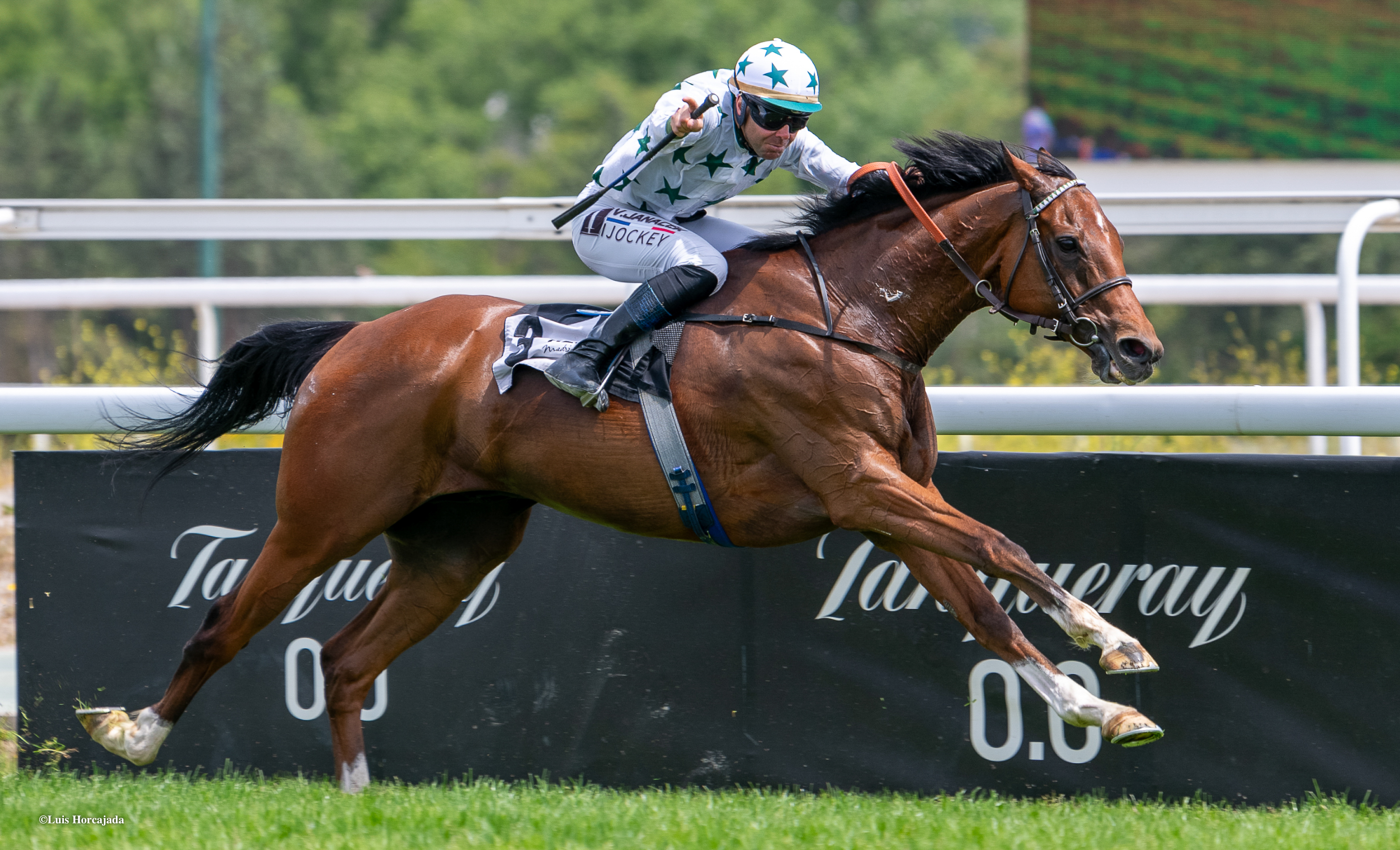 Compra tus Entradas Jockey Club Español | Entrega de premios 2025 | Hipódromo La Zarzuela Madrid