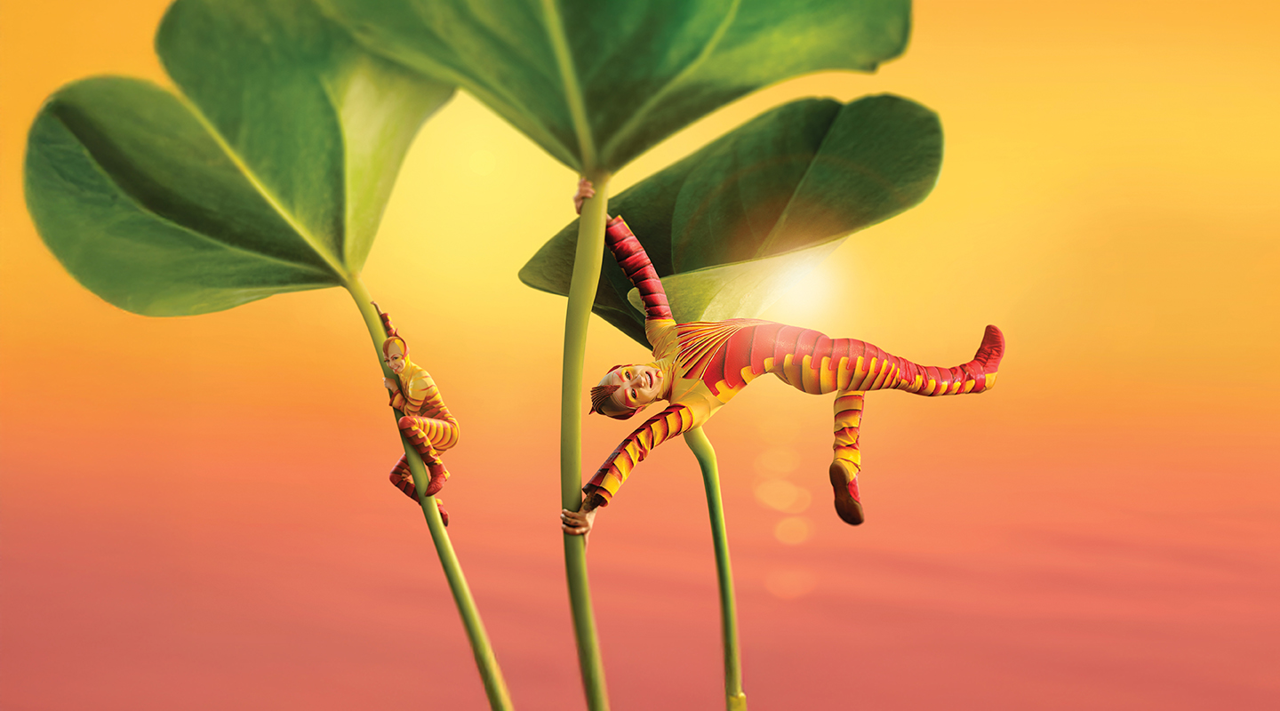 Entradas Cirque du Soleil OVO Madrid 2026 | Movistar Arena