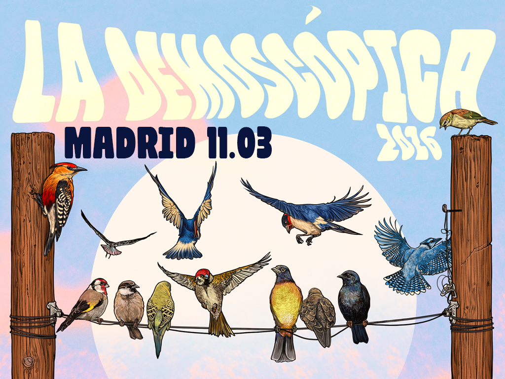 La Demoscópica de Mondo Sonoro - Madrid